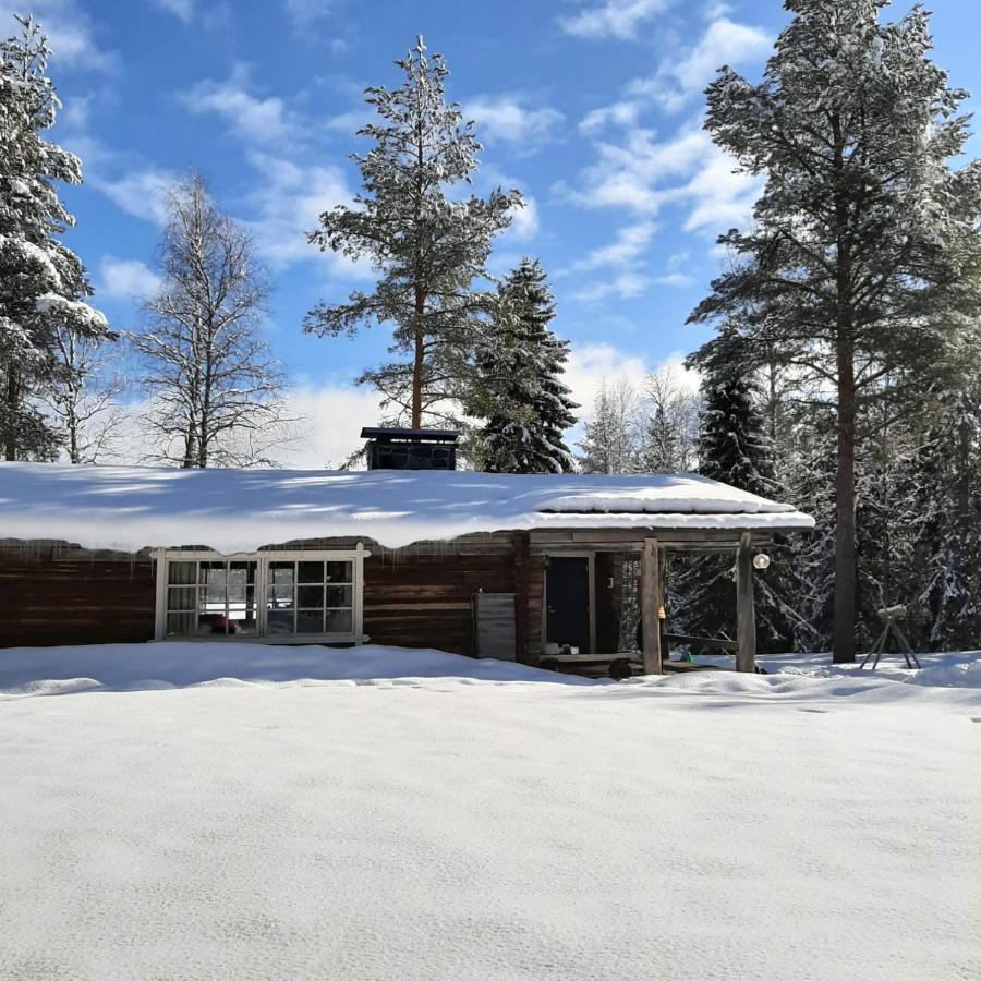 Ollero Eco Lodge Рованиеми Экстерьер фото