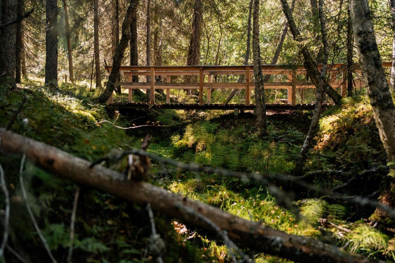 Ollero Eco Lodge Рованиеми Экстерьер фото