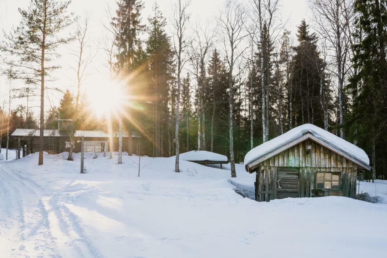 Ollero Eco Lodge Рованиеми Экстерьер фото